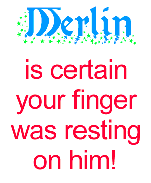 itsmerlin2.gif - 9324 Bytes